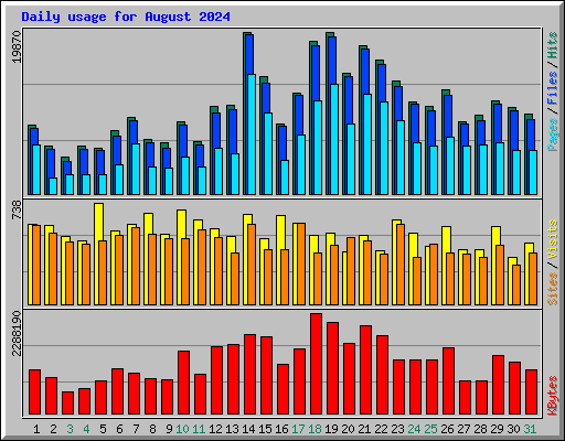 Daily usage for August 2024