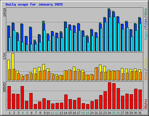Daily usage for January 2025