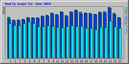 Hourly usage for June 2024