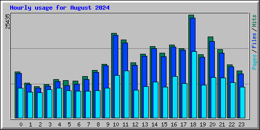 Hourly usage for August 2024