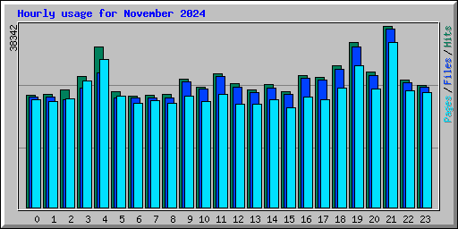 Hourly usage for November 2024