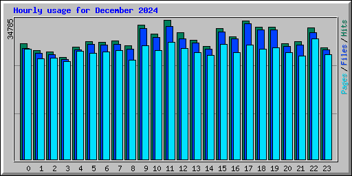 Hourly usage for December 2024