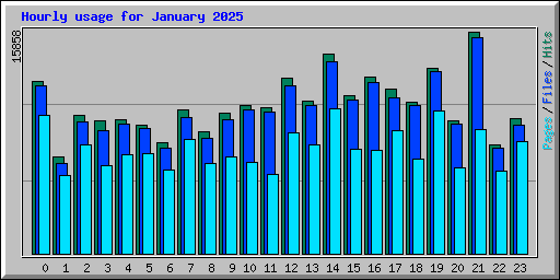 Hourly usage for January 2025