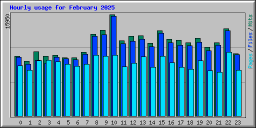 Hourly usage for February 2025