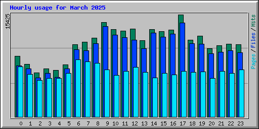Hourly usage for March 2025