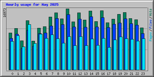 Hourly usage for May 2025