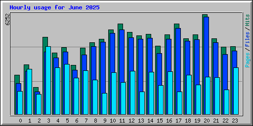 Hourly usage for June 2025