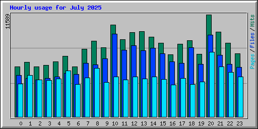 Hourly usage for July 2025