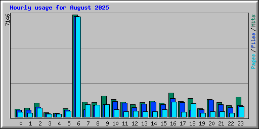Hourly usage for August 2025