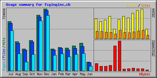 Usage summary for fcgingins.ch