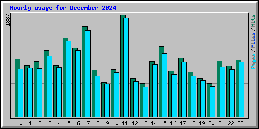 Hourly usage for December 2024
