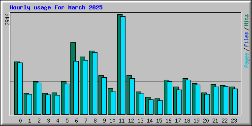 Hourly usage for March 2025